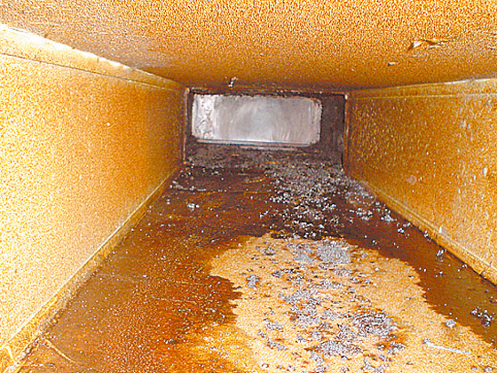 �~�[�_�N�g��