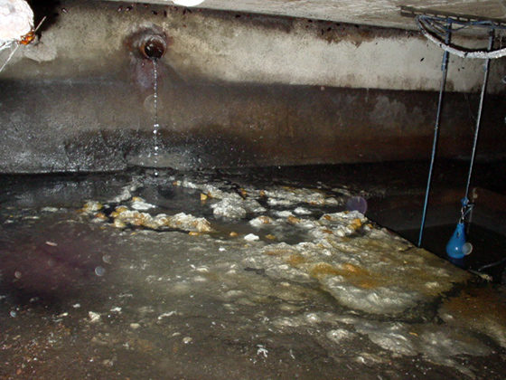 ���G�r������