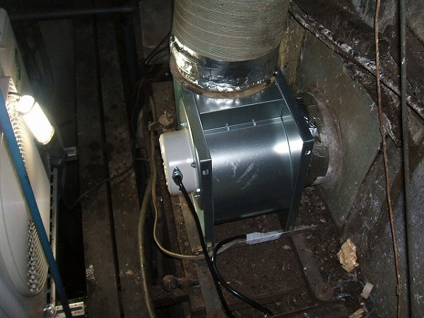 �r�C�t�@�������H��