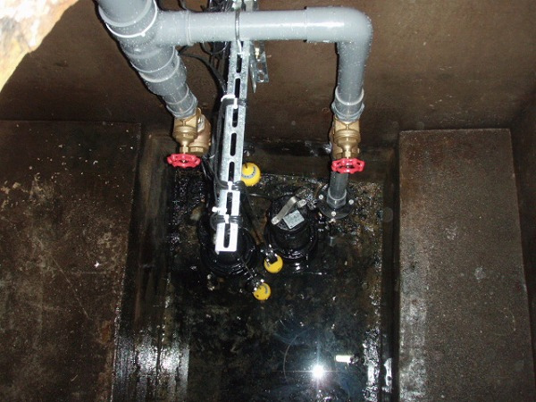 �����|���v�����H��